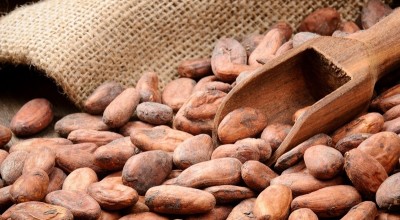 5 страхотни ползи от консумацията на сурово какао