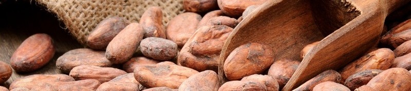 5 страхотни ползи от консумацията на сурово какао