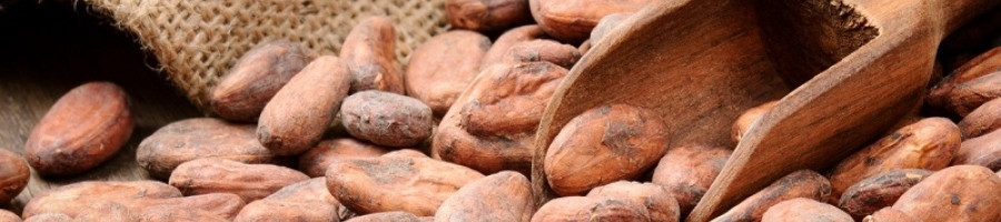 5 страхотни ползи от консумацията на сурово какао