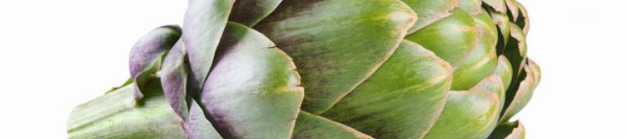 Артишок – полезно, здравословно и уникално растение