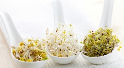 Мястото на кълновете в нашия живот!