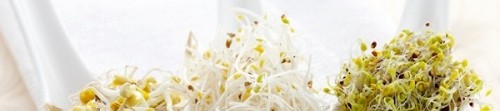 Мястото на кълновете в нашия живот!