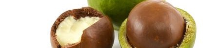 Какви са ползите от ядките макадамия?
