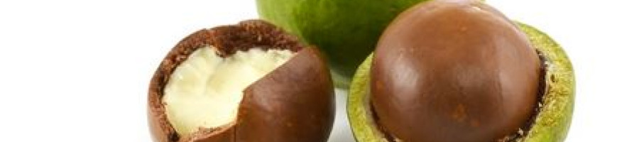 Какви са ползите от ядките макадамия?
