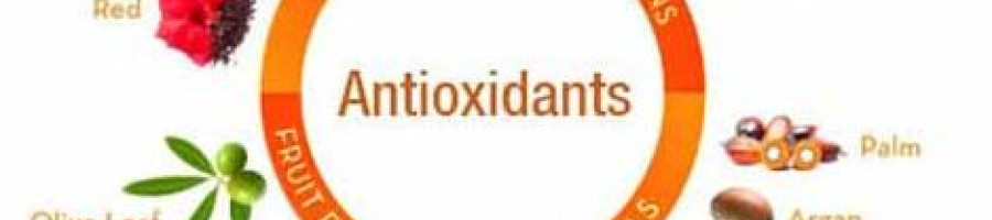 Най-силните антиоксиданти сред храните и билките 