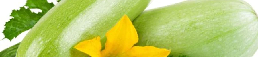 Тиквичката – полезен пролетен зеленчук!