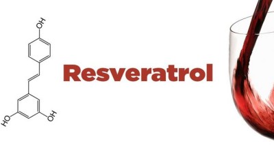 Антиоксидант – Ресвератрол