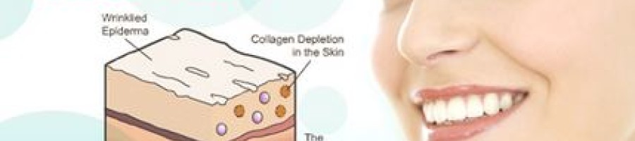 Топ продукти, съдържащи колаген – част 2