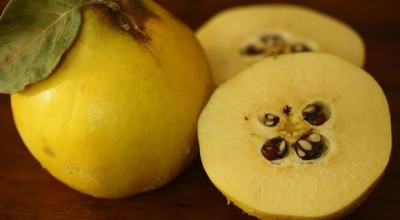 Всичко за дюлята: ползи и рецепти