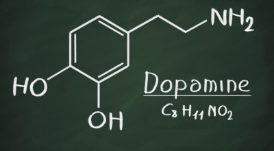 Хормони – Допамин