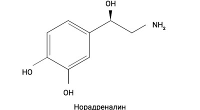 Хормони – Норадреналин