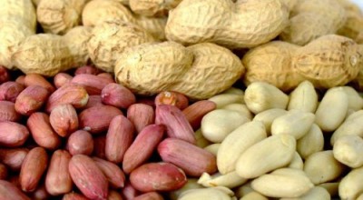 Фъстъците – не просто вкусни, но и полезни Фъстъците – не просто вкусни, но и полезни