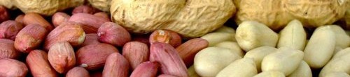 Фъстъците – не просто вкусни, но и полезни Фъстъците – не просто вкусни, но и полезни