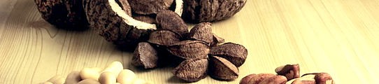 Бразилски орех за здраве, красота и вкусни ястия