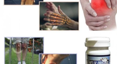 Чудотворните охлюви или защо Helix Original e за Вашите стави? Чудотворните охлюви или защо Helix Original e за Вашите стави?