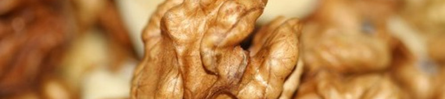 Уникални, вкусни, лесни рецепти с орехи – бъдете нестандартни