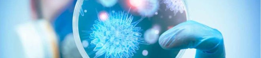 Вирусни заболявания – най-разпространените и най-опасните вируси