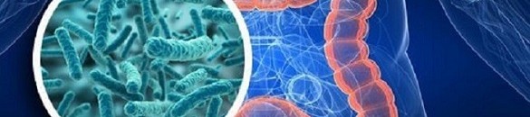 За антибиотиците и техните опоненти – пробиотиците