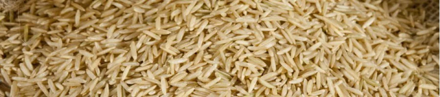 Кафяв ориз: полза и вреда за организма 