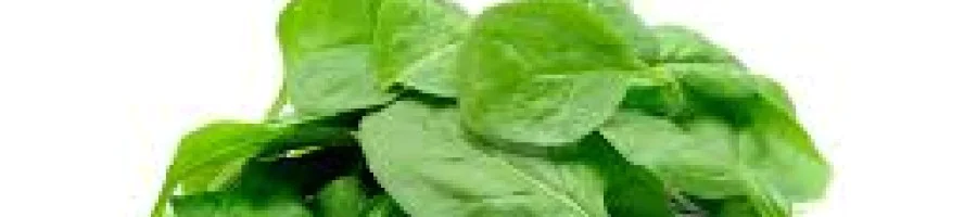 С какво е полезен бейби спанакът? Хранителни характеристики и вкусни рецепти.
