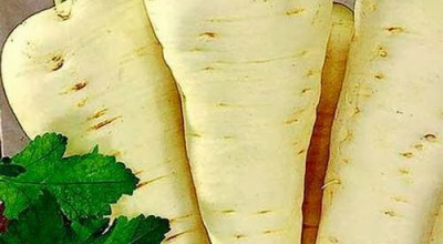 Вкусният и полезен пащърнак