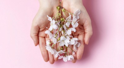 15 отровни растения, които най-вероятно имате в дома си