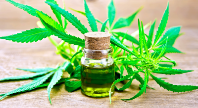 Какво е CBD (канабидиол)? Какво е CBD (канабидиол)?