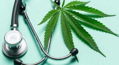 Медицинска марихуана: по какво се различават CBD и THC?