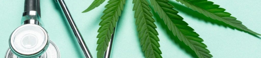 Медицинска марихуана: по какво се различават CBD и THC?