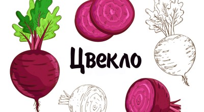 Цвеклото - „чистачът“ на тялото и незаменимо за красотата!