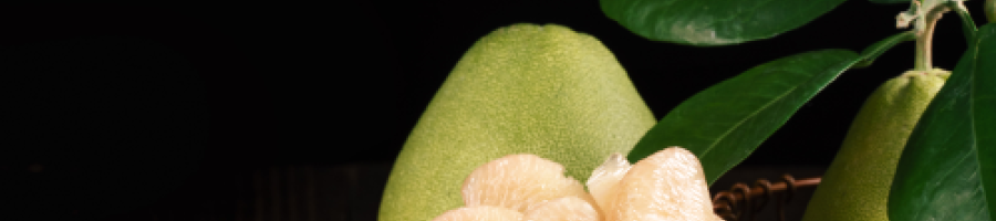 Помело - цитрусовият прародител на грейпфрута