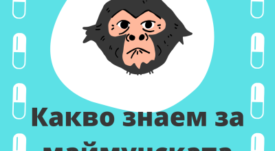 Маймунската шарка – какво знаем? - част 2