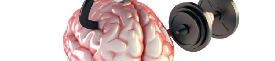 MagMind - храна за мозъка е цялото тяло