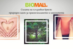 Силата на хлъзгавия бряст: природен щит за храносмилането и имунитета Силата на хлъзгавия бряст: природен щит за храносмилането и имунитета