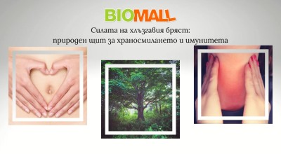 Силата на хлъзгавия бряст: природен щит за храносмилането и имунитета Силата на хлъзгавия бряст: природен щит за храносмилането и имунитета