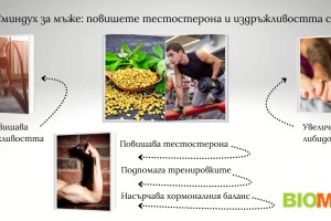 Сминдух за мъже: Натурален начин за повишаване на тестостерона и издръжливостта