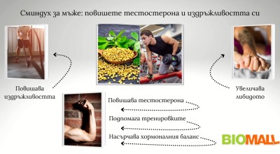 Сминдух за мъже: Натурален начин за повишаване на тестостерона и издръжливостта