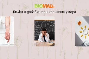 Билки и добавки при хронична умора