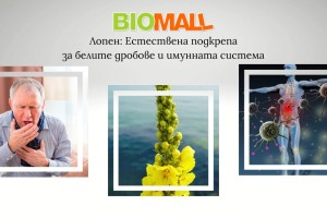 Лопен: Естествена подкрепа за белите дробове и имунната система
