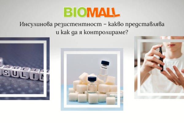 Инсулинова резистентност – какво представлява и как да я контролираме? Инсулинова резистентност – какво представлява и как да я контролираме?