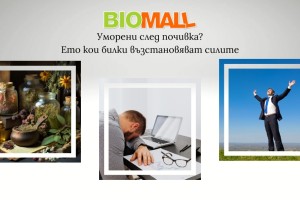 Уморени след почивка? Ето кои билки възстановяват силите