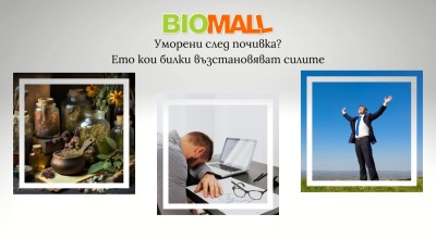 Уморени след почивка? Ето кои билки възстановяват силите