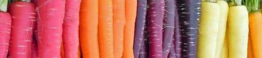 5 Забавни факта за Морковите