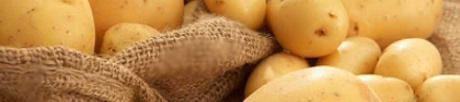 Кореноплодни растения – Картофи