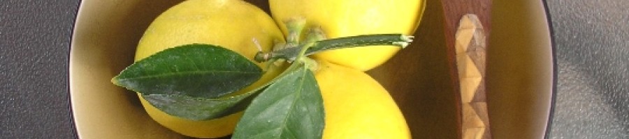 Основни правила на лимоновата диета