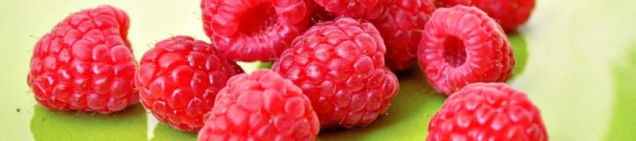 Защо да отслабнем с Малинови Кетони? Защо да отслабнем с Малинови Кетони?