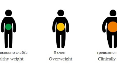 Наднормено тегло – състояние на мозъка Наднормено тегло – състояние на мозъка