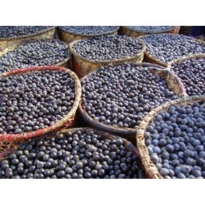 Акай Бери (Acai Berry) 120 капсули / 60 дни | Biovea Акай Бери (Acai Berry) 120 капсули / 60 дни | Biovea