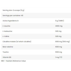 Core BCAA 8:1:1 350 гр | FA Nutrition