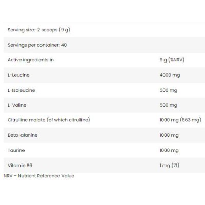 Core BCAA 8:1:1 350 гр | FA Nutrition